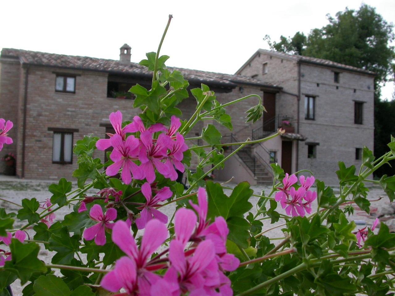 Antica Dimora Casa de hóspedes Sarnano Exterior foto